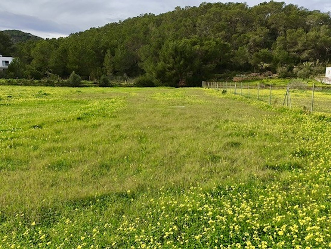 Land in Sant Joan de Labritja, Balearic Islands, Spain 1 - 17193123