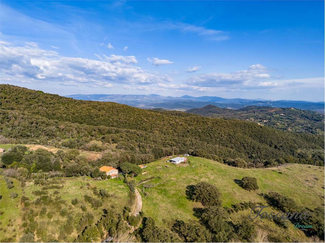 Estate in Suvereto, Tuscany, Italy 4 - 17438268
