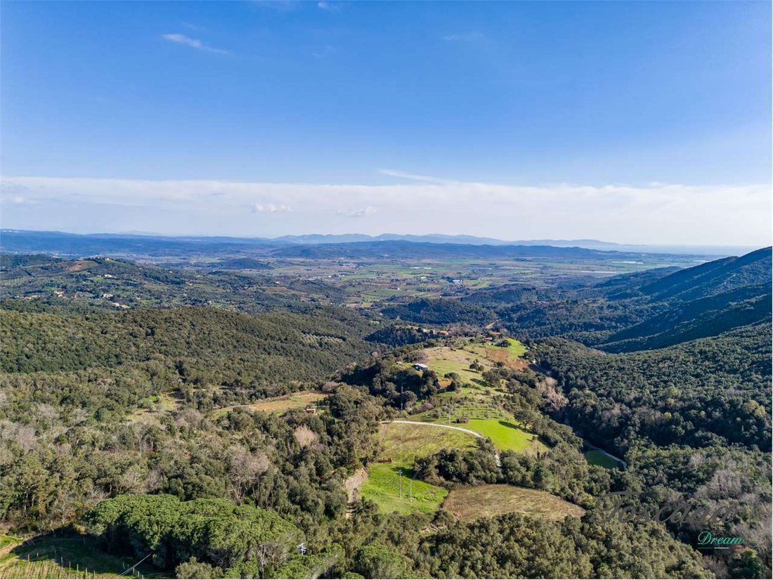 Estate in Suvereto, Tuscany, Italy 3 - 17438268