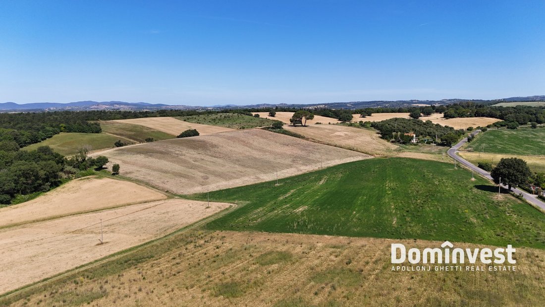 House in Magliano in Toscana, Tuscany, Italy 5 - 17439157