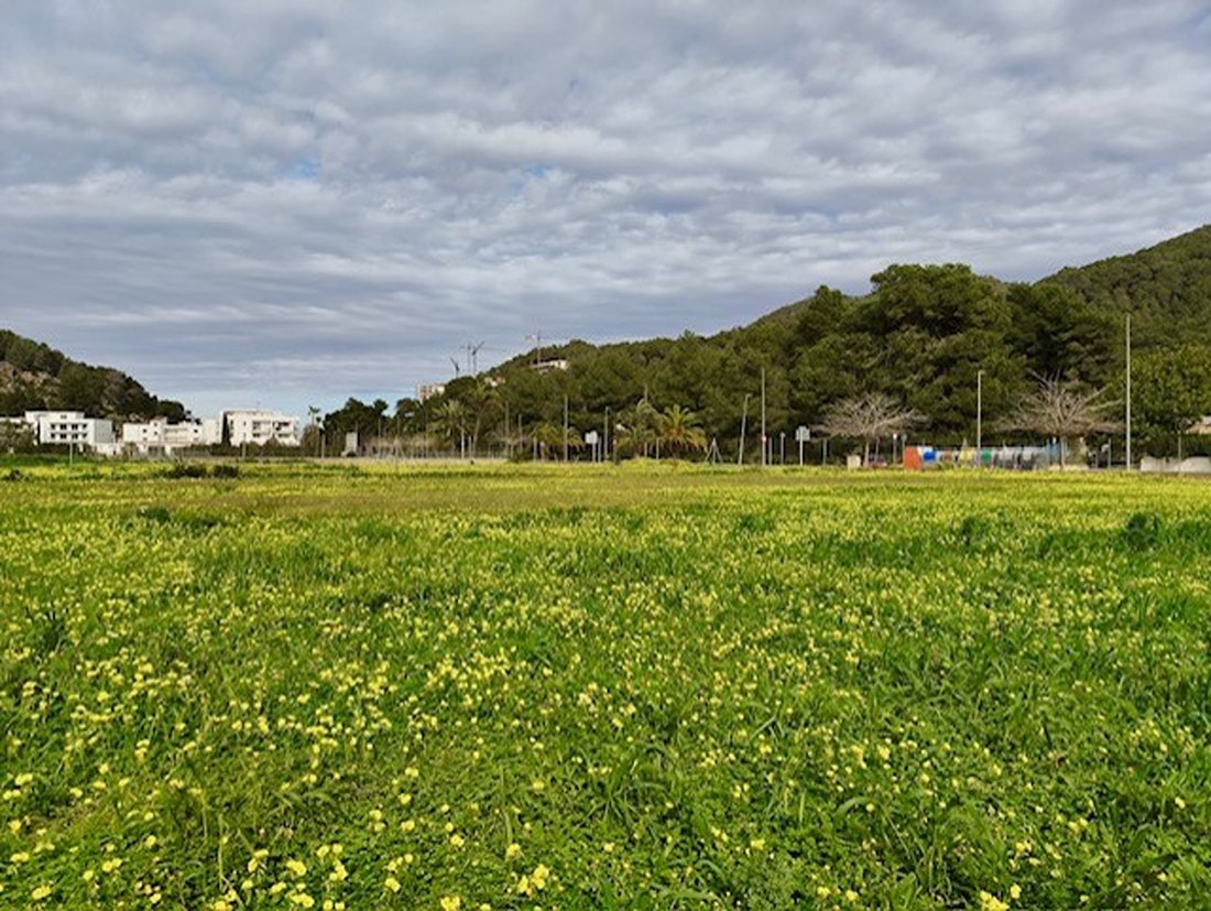 Land in Sant Joan de Labritja, Balearic Islands, Spain 5 - 17193123