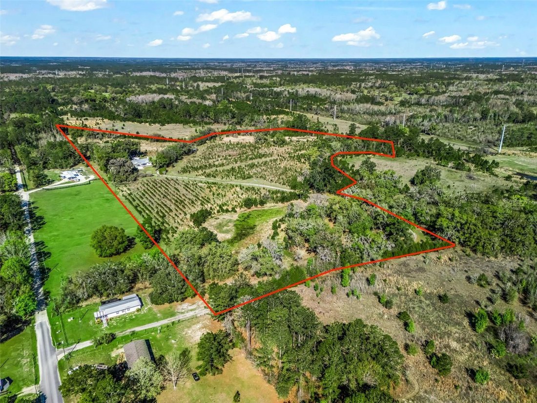 Rancho en Bronson, Florida, Estados Unidos 2 - 17438164