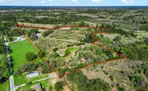 Rancho en Bronson, Florida, Estados Unidos 1
