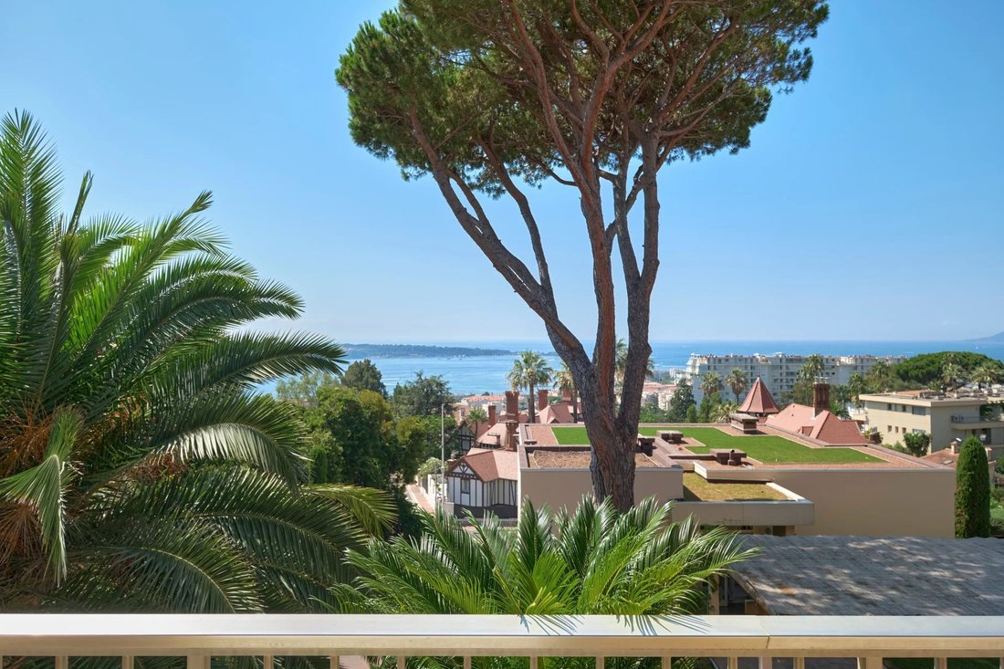 Apartment in Cannes, Provence-Alpes-Côte d'Azur, France 3 - 17438615
