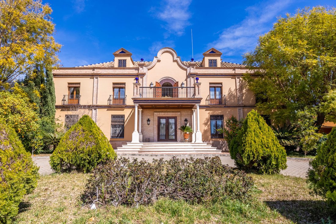 House in Ecija, Andalusia, Spain 2 - 14371837