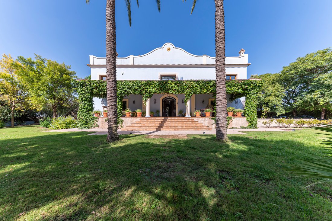 House in Elx / Elche, Valencian Community, Spain 3 - 16083449