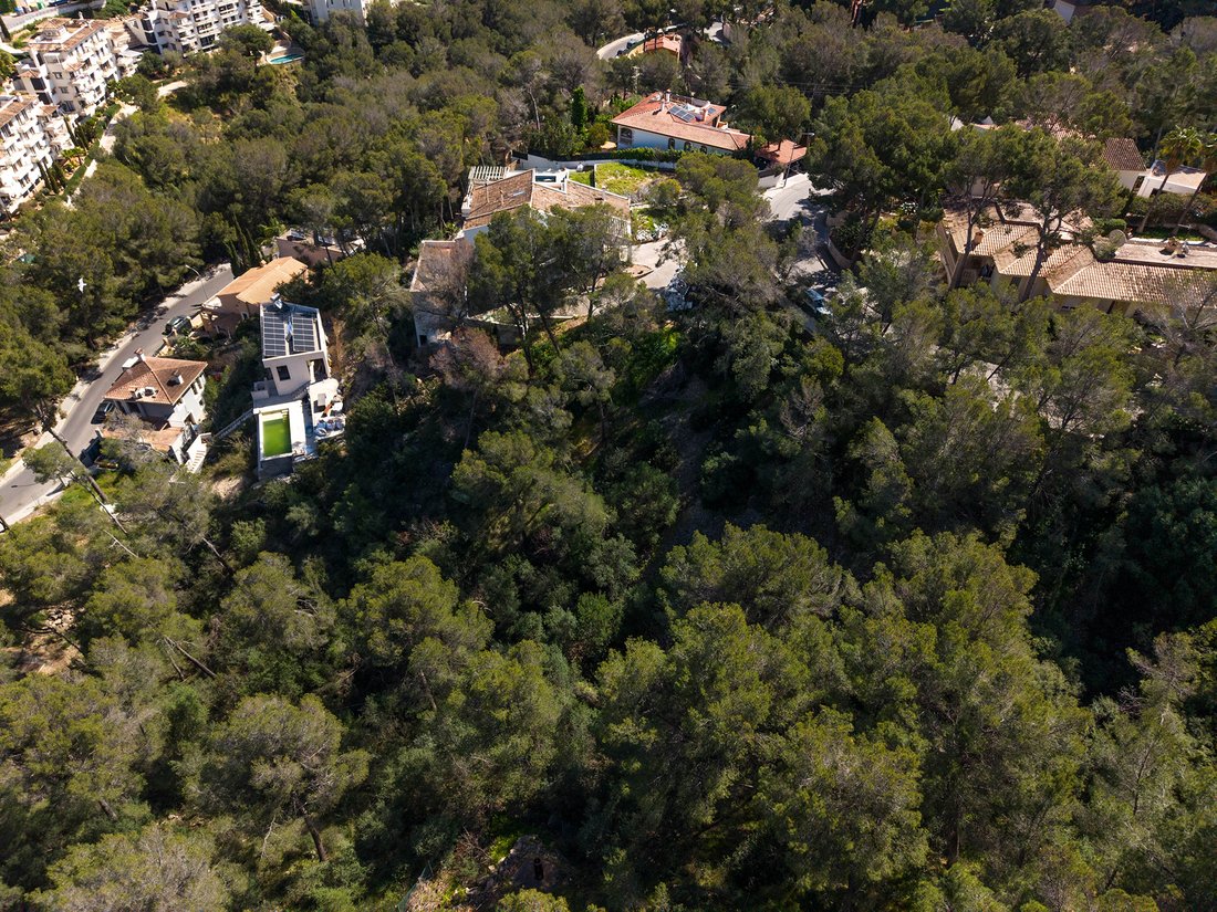 Land in Portals Nous, Calvia, Balearic Islands 3 - 15456430