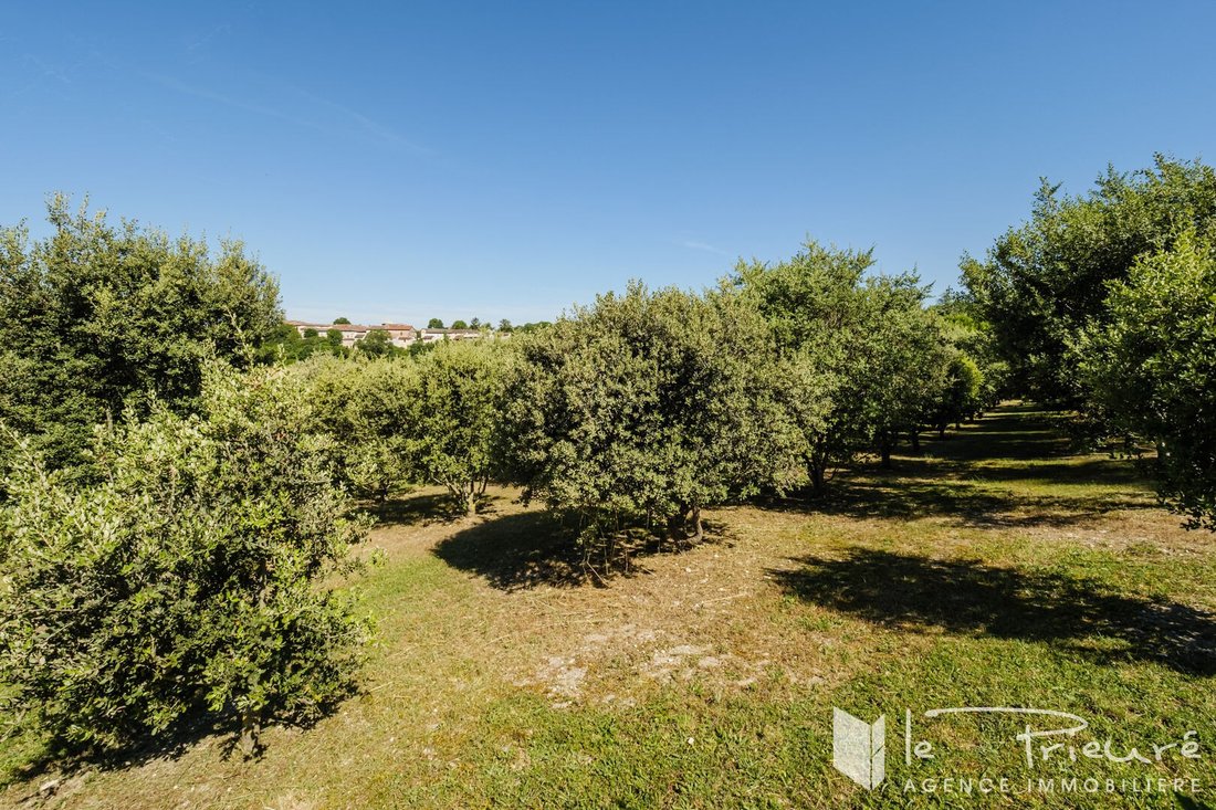 Villa in Taix, Occitania, France 4 - 17439005