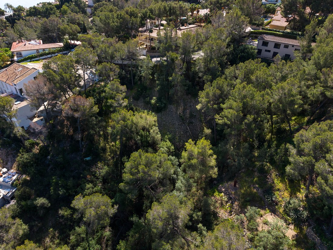 Land in Portals Nous, Calvia, Balearic Islands 5 - 15456430