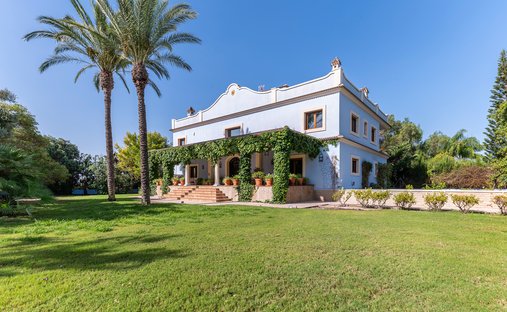 House in Elx / Elche, Valencian Community, Spain 1