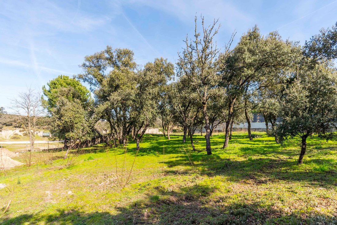 Land in Centro, Madrid, Spain 1 - 17330677