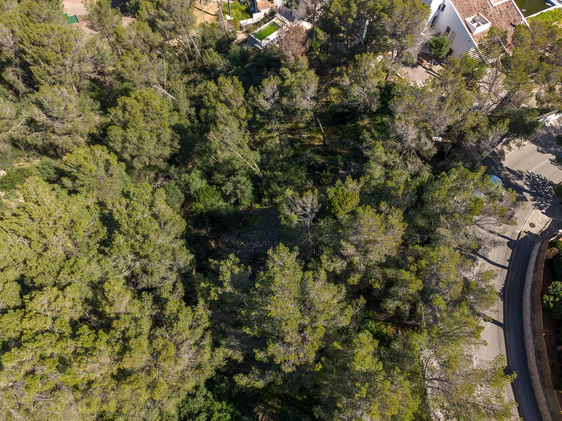 Land in Portals Nous, Calvia, Balearic Islands 4 - 15456430