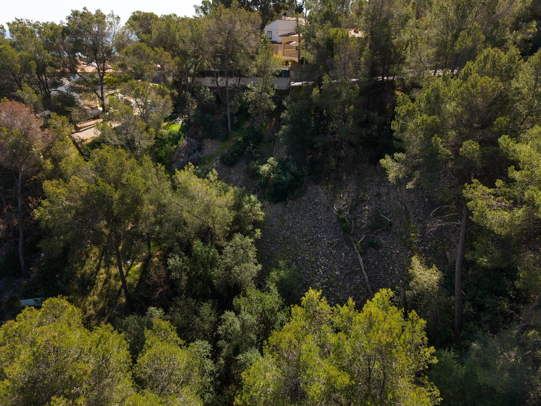 Land in Portals Nous, Calvia, Balearic Islands 2 - 15456430