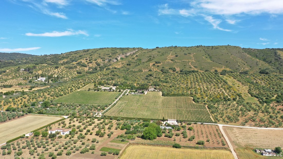 Finca in Ronda, Andalusia, Spain 5 - 14371915