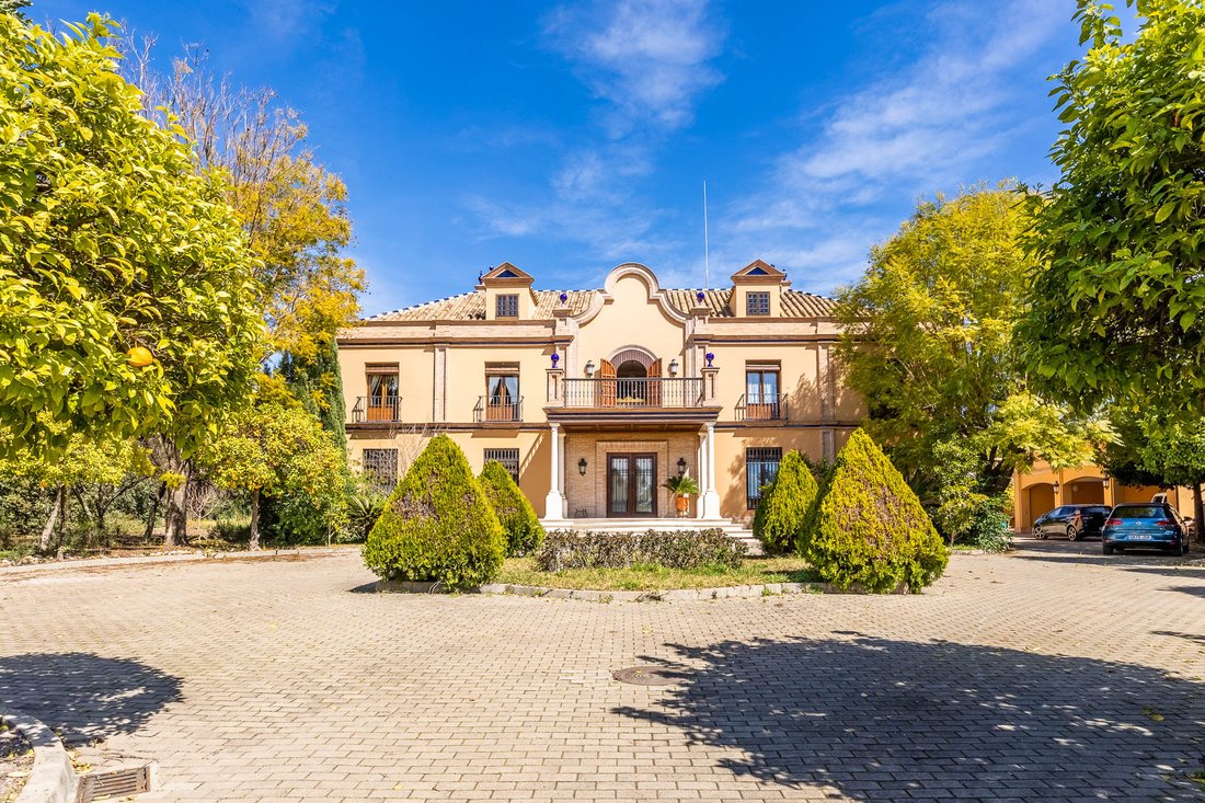 House in Ecija, Andalusia, Spain 1 - 14371837