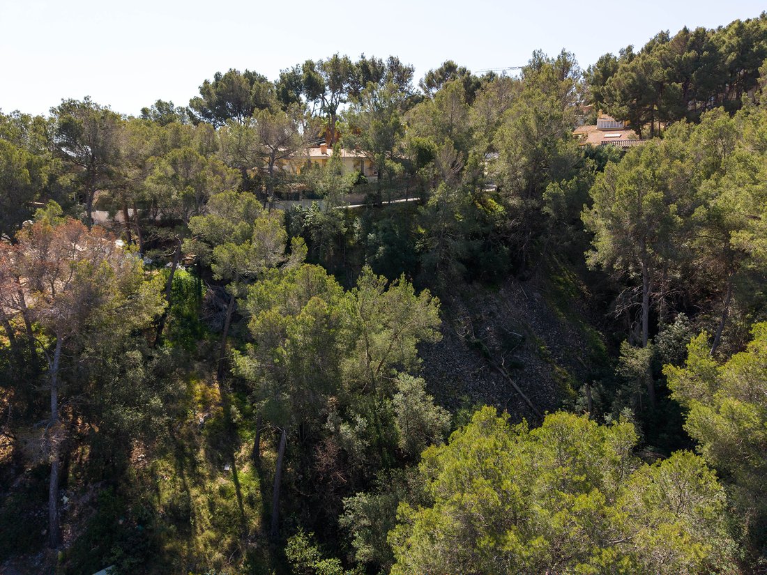 Land in Portals Nous, Calvia, Balearic Islands 1 - 15456430