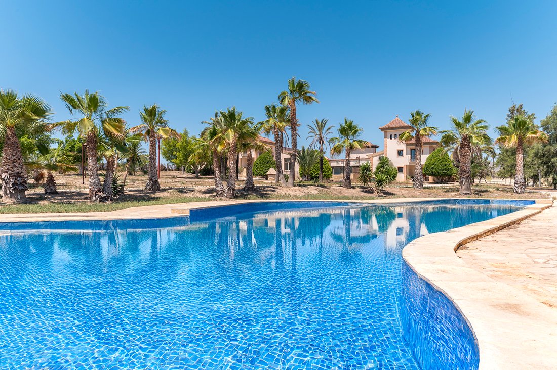 House in Casco Antiguo - Santa Cruz - Ayuntamiento, Alicante, Valencian Community 1 - 16931488