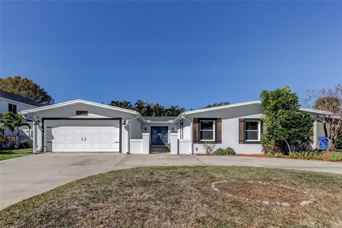 House in Tampa, Florida, United States 1 - 17437853