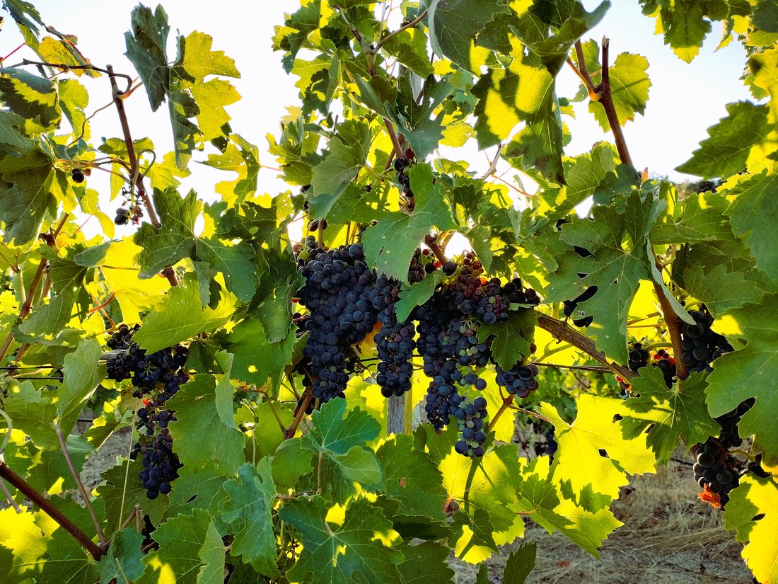 Finca in Villamanta, Comunidad de Madrid, Spain 4 - 16814274