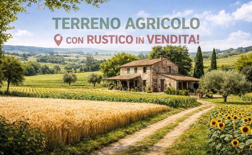 Land in Villafranca Padovana, Veneto, Italy 1
