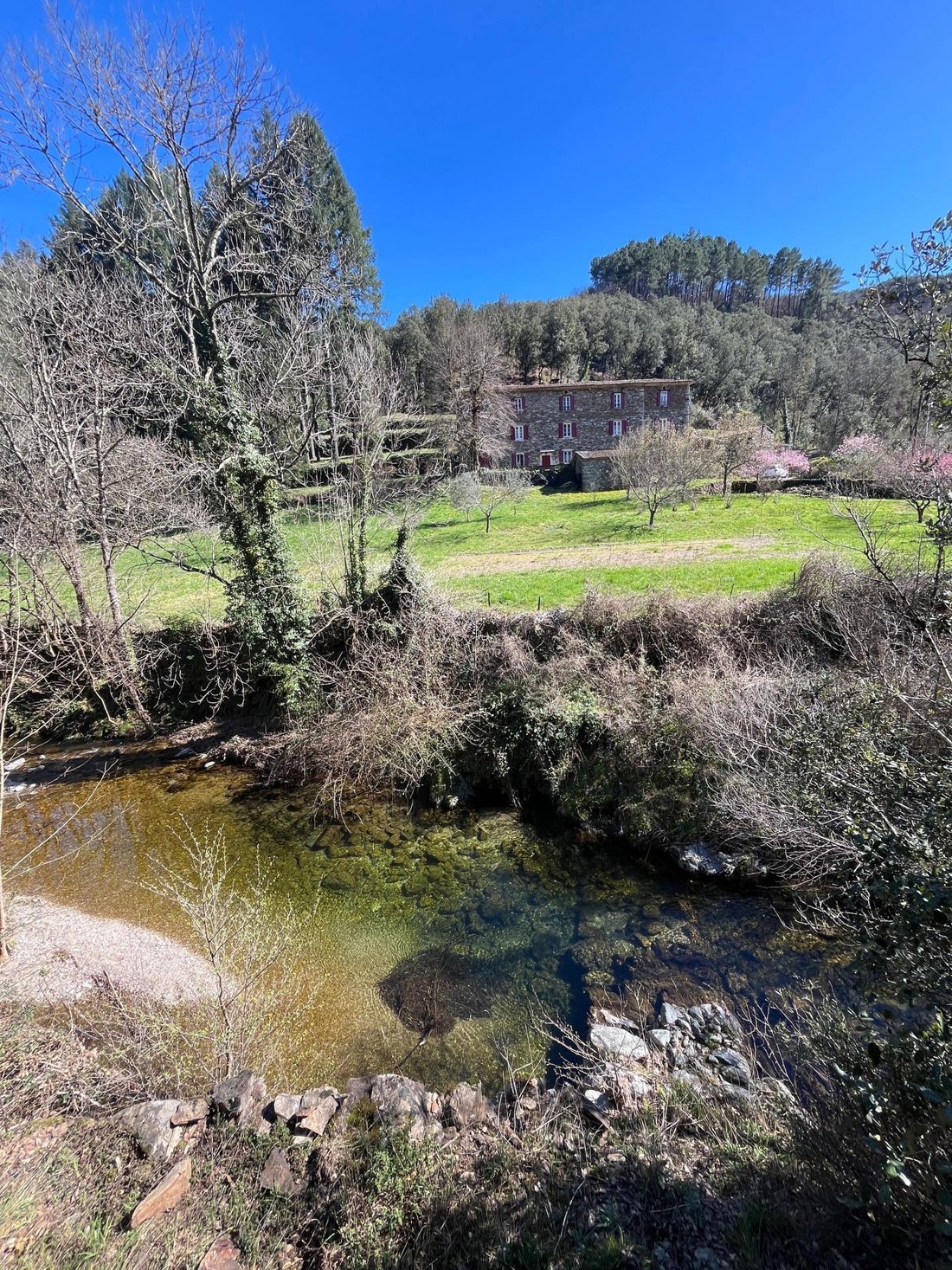House in Saint-Jean-du-Gard, Occitania, France 5 - 16805971