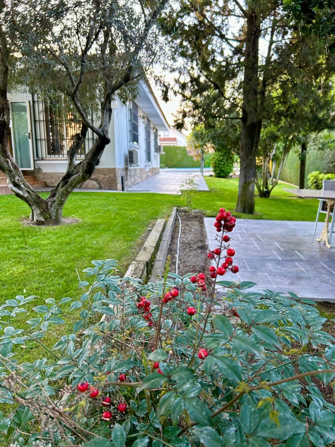 House in Boadilla del Monte, Comunidad de Madrid, Spain 4 - 17438907