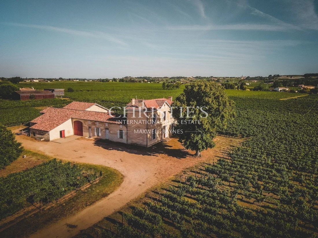 Farm Ranch in Saint-Émilion, Nouvelle-Aquitaine, France 4 - 14135241