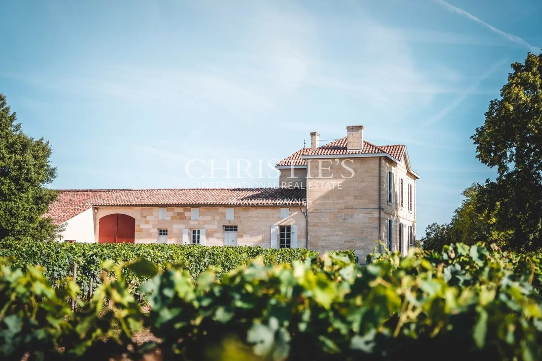 Farm Ranch in Saint-Émilion, Nouvelle-Aquitaine, France 3 - 14135241