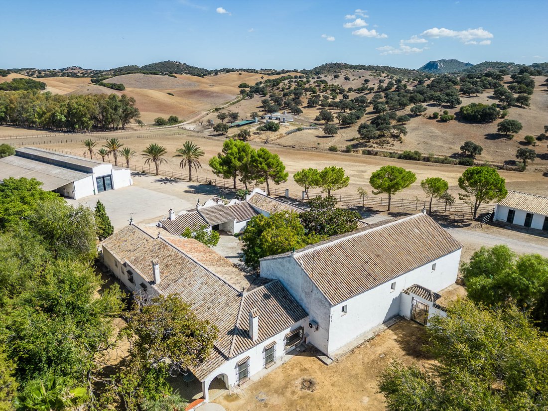 Finca in Coripe, Andalusia, Spain 2 - 14371833