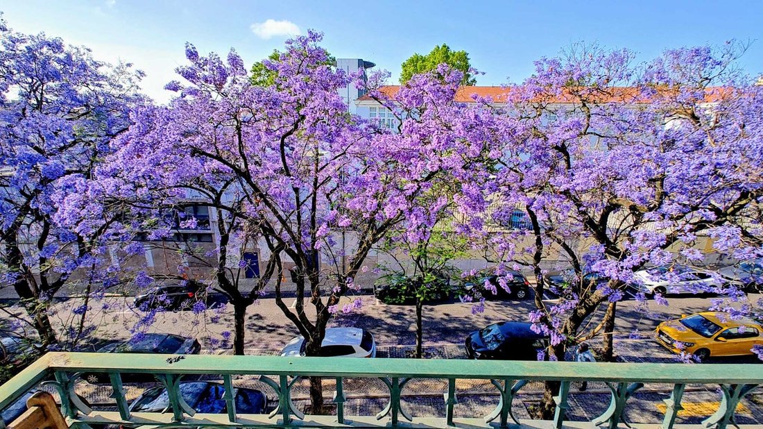 Apartment in Arroios, Lisbon, Portugal 2 - 16310252