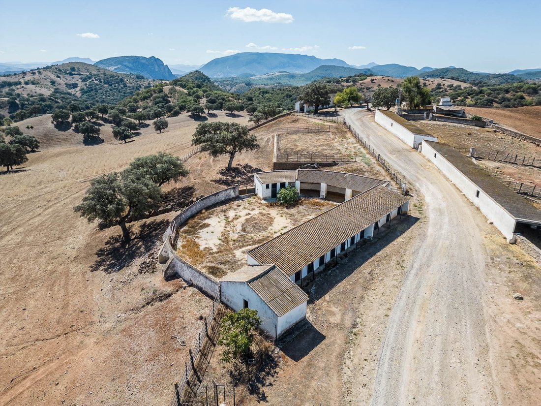 Finca in Coripe, Andalusia, Spain 5 - 14371833
