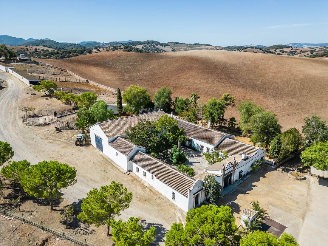 Finca in Coripe, Andalusia, Spain 1 - 14371833