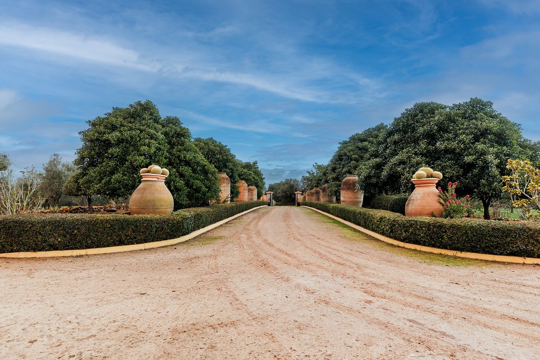 Finca in Sencelles, Balearic Islands, Spain 5 - 17325487
