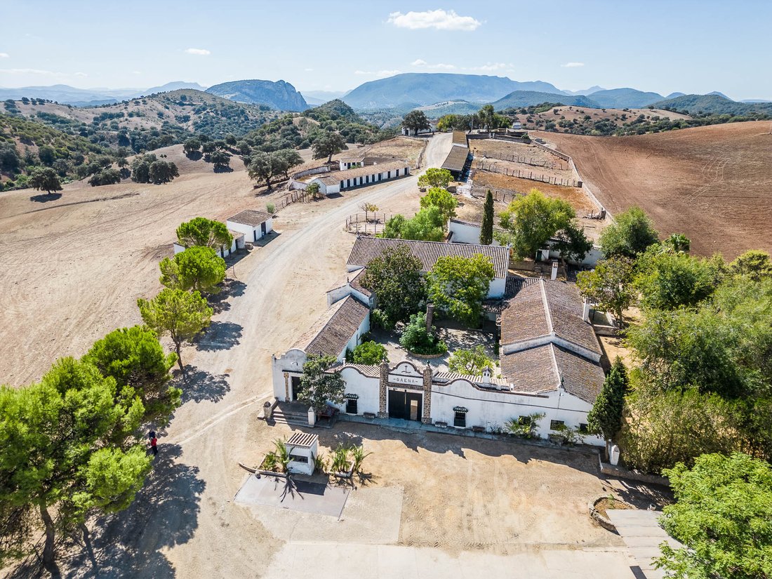 Finca in Coripe, Andalusia, Spain 4 - 14371833