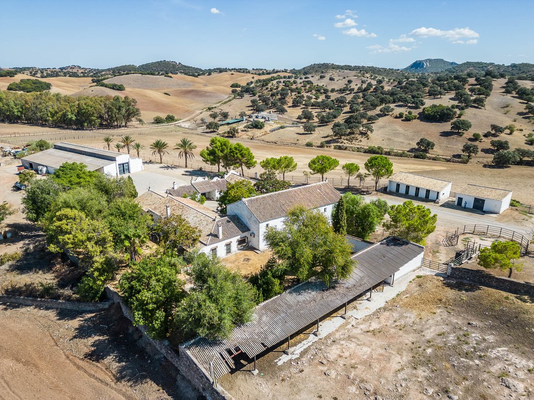 Finca in Coripe, Andalusia, Spain 3 - 14371833