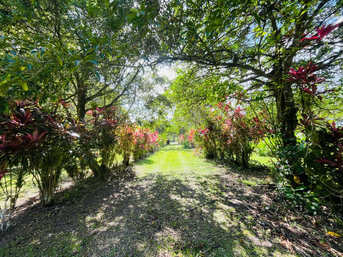 Land in Anton Valley, Coclé Province, Panama 4 - 17438957
