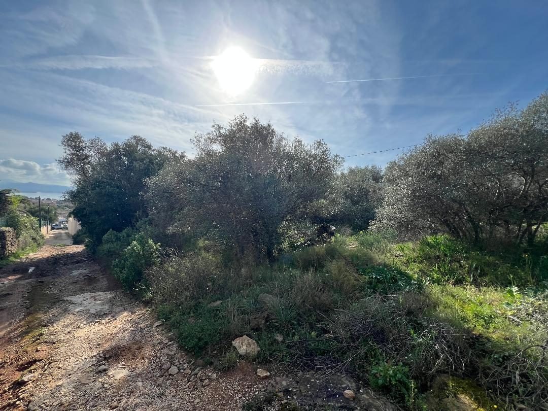 Land in La Ciotat, Provence-Alpes-Côte d'Azur, France 2 - 17439765
