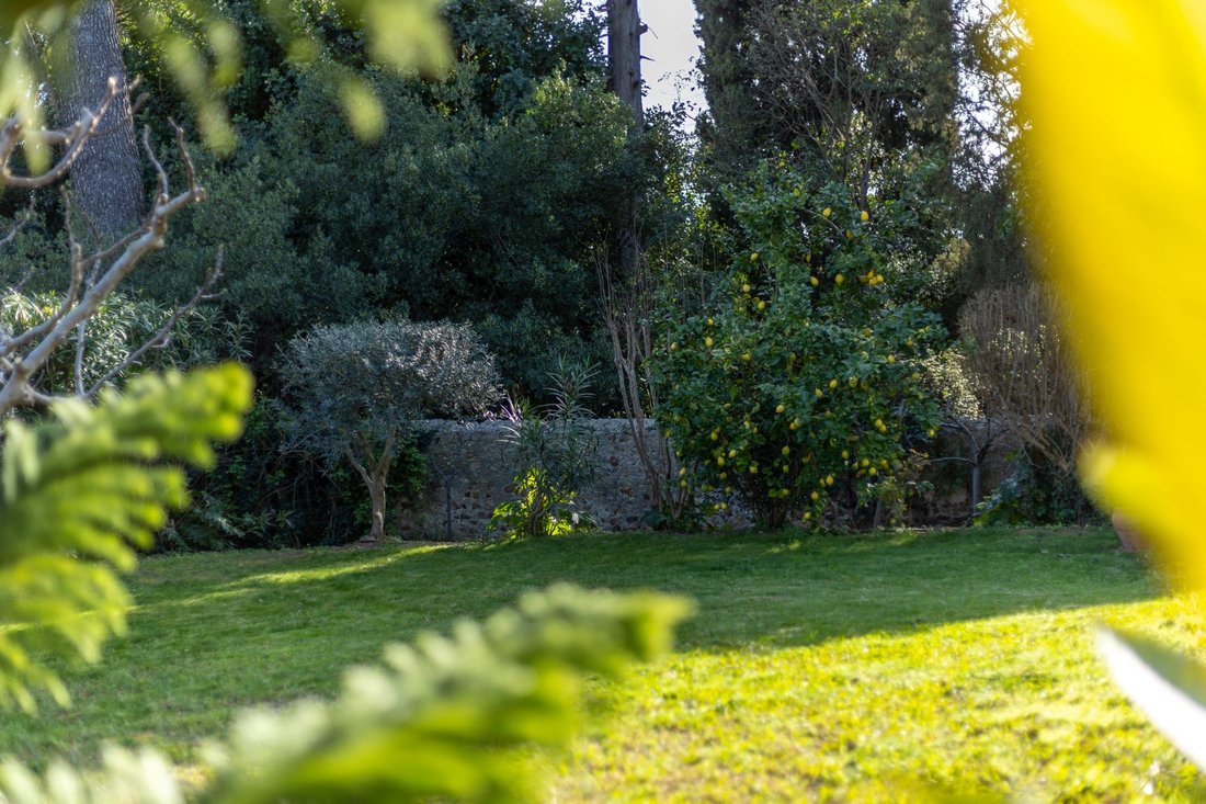 Villa in Hyeres, Provence-Alpes-Côte d'Azur, France 3 - 17439791