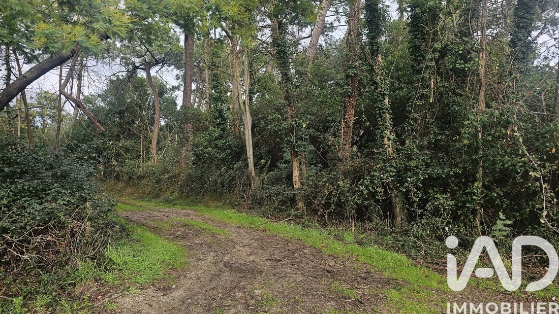 Land in 33970 Le Cap-Ferret, Lège-Cap-Ferret, Nouvelle-Aquitaine 2 - 17437502