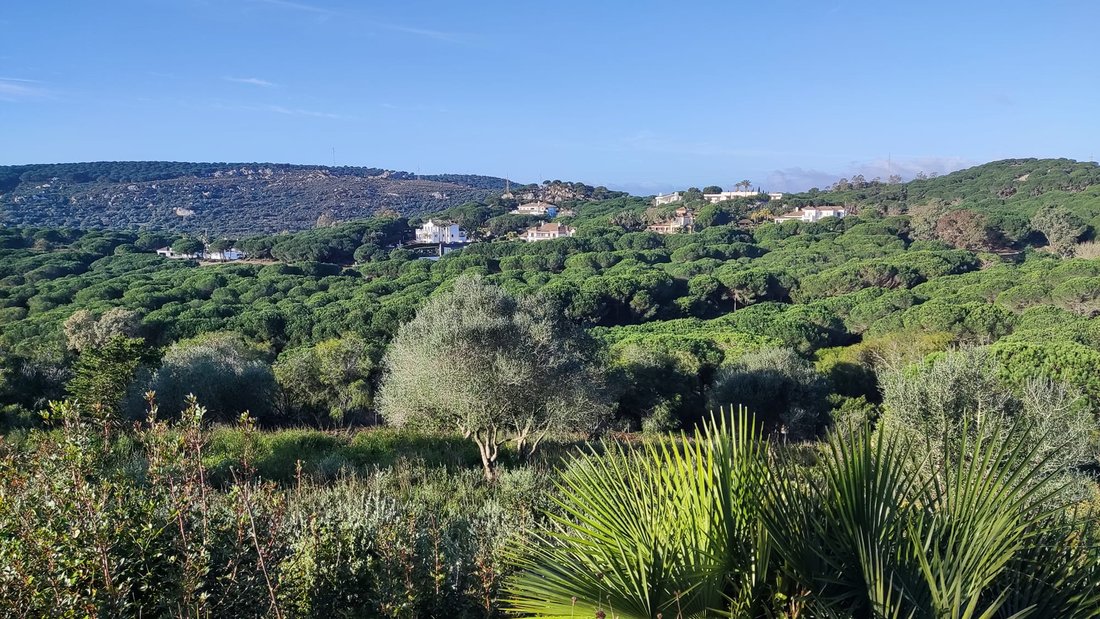 Land in Sotogrande, San Roque, Andalusia 2 - 17328299