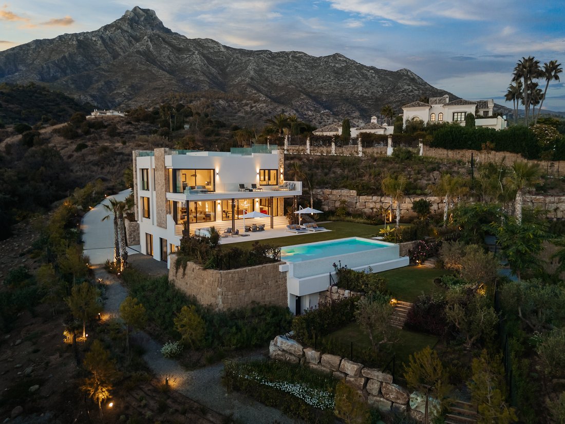 House in Golden Mile, Andalusia, Spain 3 - 16560393