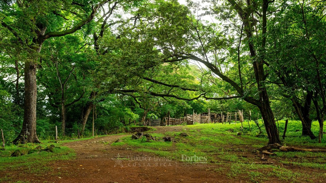 Finca in Veintisiete de Abril District, Guanacaste Province, Costa Rica 3 - 17436726
