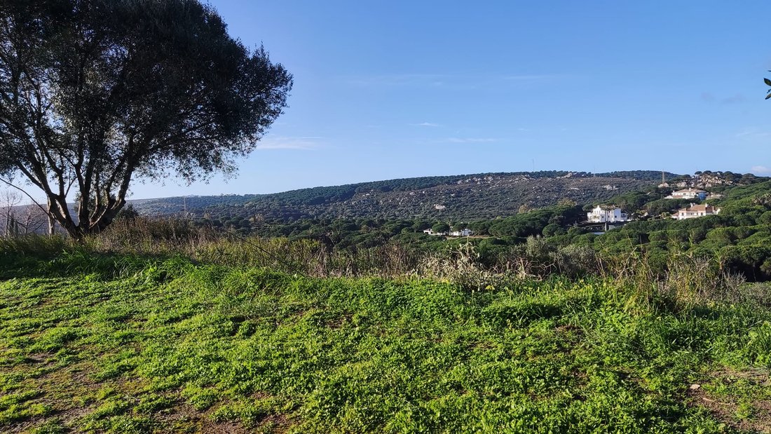 Land in Sotogrande, San Roque, Andalusia 5 - 17328299