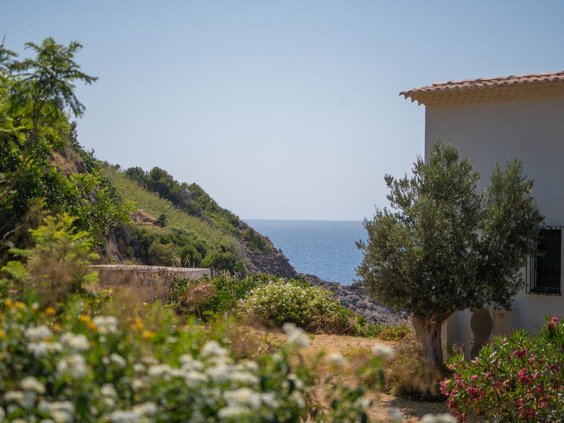 House in Banyalbufar, Balearic Islands, Spain 3 - 15854133