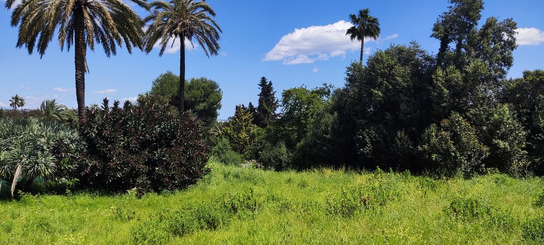 Land in La Alcaidesa, San Roque, Andalusia 4 - 15508510