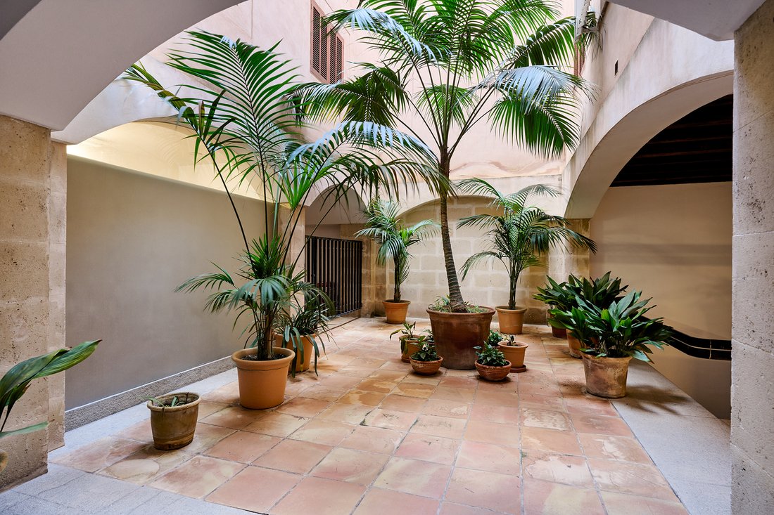 Apartment in Calvia, Balearic Islands, Spain 2 - 17131784
