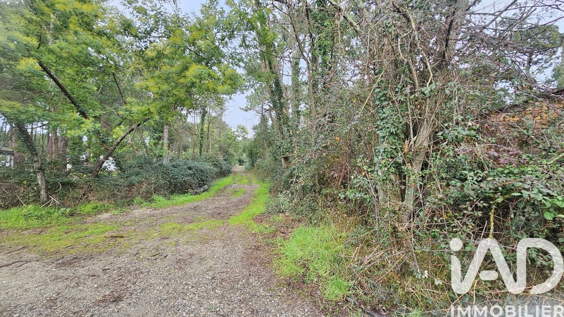 Land in 33970 Le Cap-Ferret, Lège-Cap-Ferret, Nouvelle-Aquitaine 5 - 17437502
