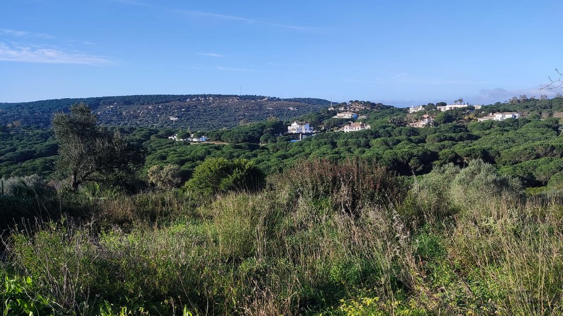 Land in Sotogrande, San Roque, Andalusia 4 - 17328299