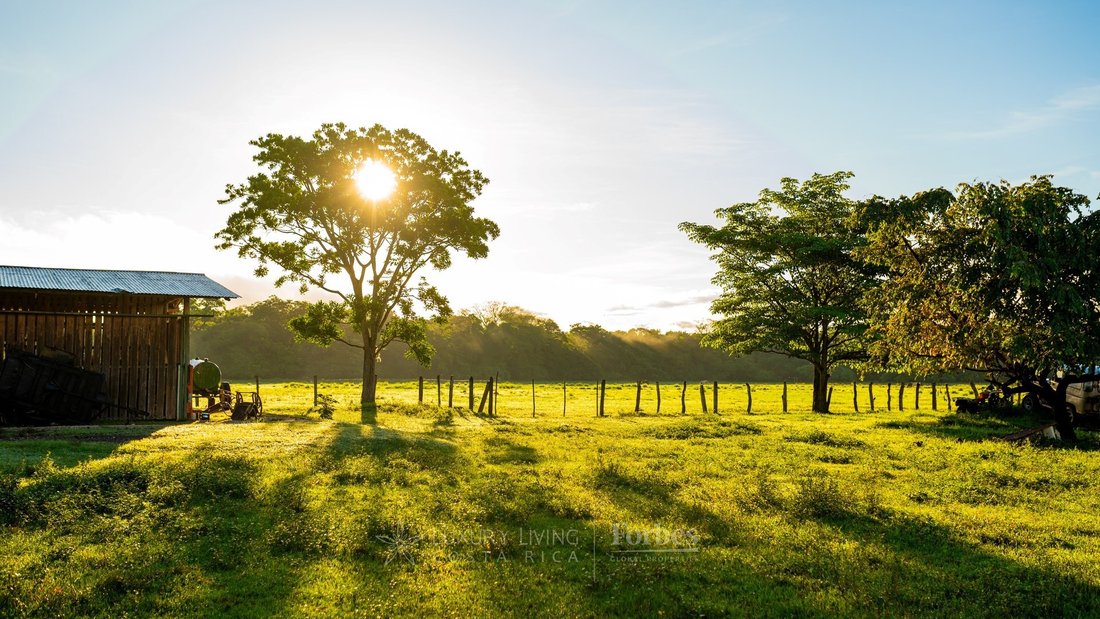 Finca in Veintisiete de Abril District, Guanacaste Province, Costa Rica 1 - 17436726