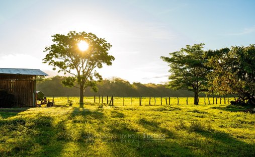 Finca en 27 de Abril, Provincia de Guanacaste, Costa Rica 1